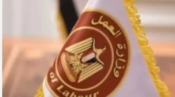 فرص متجددة 77 وظيفة براتب 20 ألف جنيه شهريًا عبر وزارة العمل